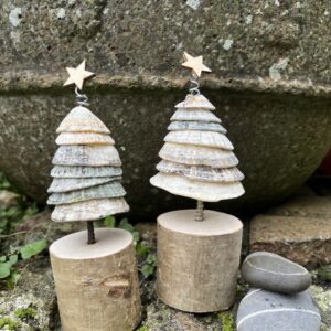 Limpet shell Christmas Trees